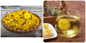 Tác dụng của trà hoa cúc mật ong