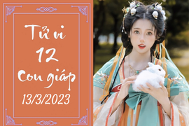 Tử vi vui 12 con giáp hôm nay ngày 13/3/2023: Tỵ cẩn trọng, Thân đào hoa
