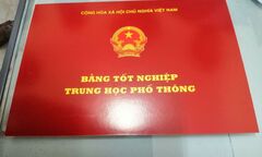Một hiệu trưởng ở Hà Nội bị thu hồi bằng tốt nghiệp THPT vì gian lận