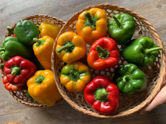 Tác dụng tuyệt vời của ớt chuông với sức khỏe