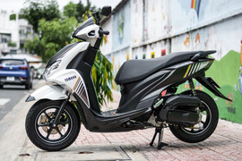 Bảng giá xe Freego mới nhất tháng 3/2023