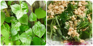 Ai không nên ăn rau càng cua?