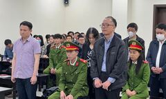 Vụ thất thoát hơn 180 tỷ đồng: Cựu giám đốc ngân hàng bị đề nghị 8-9 năm tù