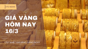 Giá vàng hôm nay 16/3: Vàng thế giới, trong nước cùng đi xuống