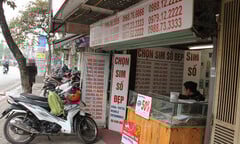 Nhà mạng bán SIM rác có thể bị đình chỉ phát triển thuê bao mới