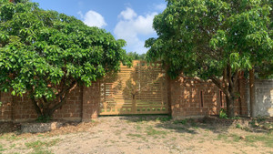 Nhà khang trang, kiên cố vô tư 'mọc' trên đất dự án ở Quy Nhơn