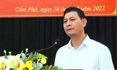 Bảo kê nuôi trồng thủy sản trên vịnh Bái Tử Long, chủ tịch phường bị bắt