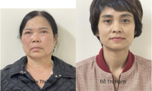 Vụ án tại Công ty Công viên cây xanh Hà Nội: Khởi tố 4 bị can