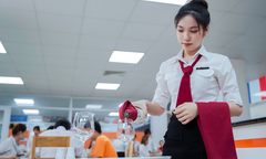 Clip trên TikTok nêu tên các ngành không nên học: Chuyên gia nhân lực dự báo gì?