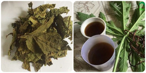 Cách sử dụng lá đu đủ đúng cách