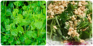 Tác dụng của rau càng cua với sức khỏe
