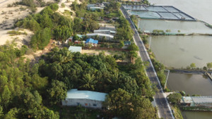 Bình Định: Vì sao Quy Nhơn thành 'điểm nóng' của các công trình trái phép? 