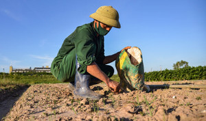 Dự báo thời tiết ngày 22/3: Bắc Bộ, Trung Bộ nắng nóng, có nơi đặc biệt gay gắt