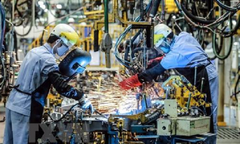 Doanh nghiệp Mỹ: Việt Nam là điểm đến cho sự phát triển và cơ hội