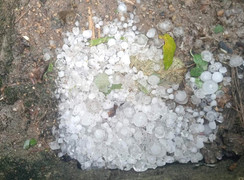 Mưa đá xuất hiện ở miền núi Nghệ An 