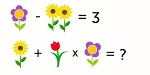 Chỉ người IQ cao mới trả lời được phép toán này