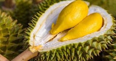 Những ai không nên ăn sầu riêng?