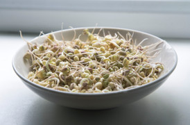 Mẹo nhỏ để viêc tự làm giá đỗ tại nhà trở nên đơn giản