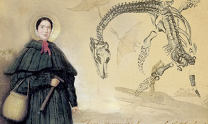 Cuộc đời bi kịch của nhà khoa học nữ chuyên săn tìm hóa thạch