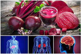 Củ dền đỏ có tác dụng gì?