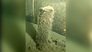 Đan Mạch trục vớt vật thể lạ gần đường ống Nord Stream 2