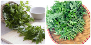 Ngải cứu cực tốt nhưng 3 kiểu người tuyệt đối không ăn kẻo 'rước họa vào thân'