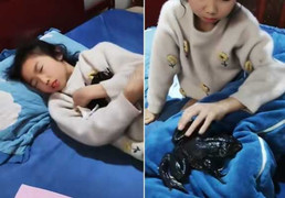 Nghe tiếng động lạ trong phòng con gái, kiểm tra phát hiện điều rợn người