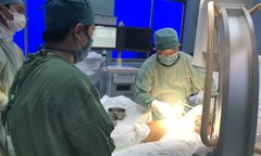 TP.HCM: Nỗ lực cứu thai phụ bị cây xanh trong trường học gãy đổ đè vào người