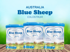 Blue Sheep Colostrum – Bổ sung MCT giúp bé tăng cân hiệu quả
