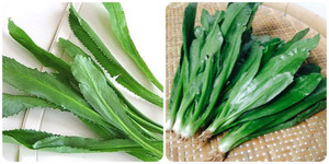 Rau mùi tàu có tác dụng gì?