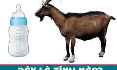 Đây là tên tỉnh nào ở Việt Nam?