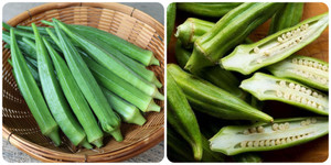 Đậu bắp - thực phẩm quen thuộc rẻ tiền chống ung thư cực tốt