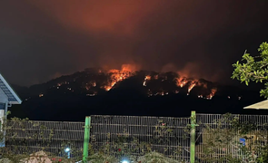 Lâm Đồng: Đang cháy rừng phòng hộ trên đèo Prenn