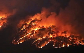 Cận cảnh rừng phòng hộ đèo Prenn Đà Lạt cháy đỏ trời