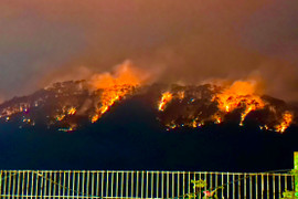 10 ha rừng bị ảnh hưởng sau vụ cháy rừng trên đèo Prenn Đà Lạt