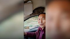 Người đàn ông lái xe cùng đàn ong trong ô tô