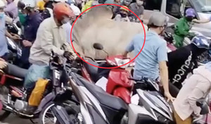 Bò điên húc loạt xe máy trên đường ở Đồng Nai