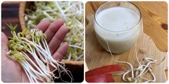 Cách làm 'vitamin tình yêu' nước ép giá đỗ cho chồng