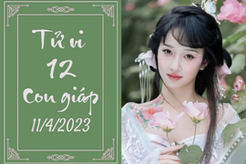 Tử vi vui 12 con giáp hôm nay ngày 11/4/2023: Tỵ thắng lợi, Ngọ nỗ lực