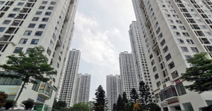 Người mua đang chuộng phân khúc bất động sản nào nhất?