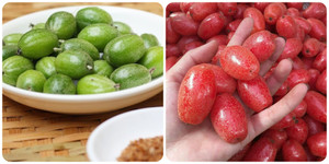 Ăn nhót có tốt không?