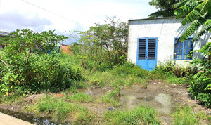 Tòa buộc thu hồi, hủy 238 sổ đỏ cấp sai quy định, lãnh đạo Đà Nẵng nói gì?