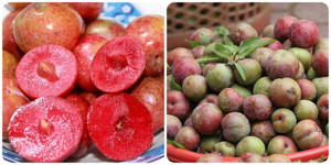 Những lợi ích tuyệt vời của quả mận với sức khỏe