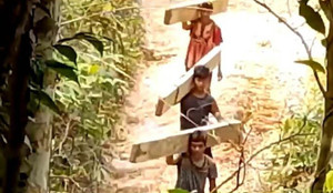 Triệu tập 8 người, kỷ luật 5 cán bộ liên quan vụ phá rừng quy mô lớn ở Huế