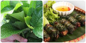 Những người không nên ăn lá lốt