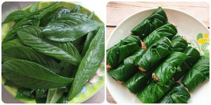 Những tác dụng của cây xương sông với sức khỏe