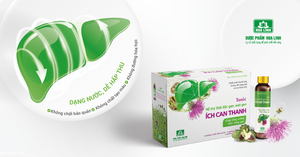 Silymarin tan trong nước tối ưu công dụng khỏe gan, tăng thải độc