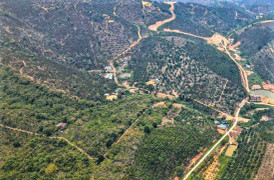 Khởi tố nguyên phó ban quản lý rừng phòng hộ ở Lâm Đồng