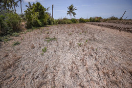 Tân Á Đại Thành tung chính sách bảo hành 1 đổi 1 cho 'siêu bồn nhựa Plasman'