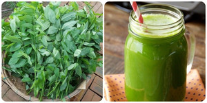 Tác hại của nước rau ngót sống